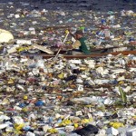 Boj o přežití: otec a syn se denně plují mořem odpadků 4