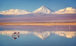 Poušt Atacama v severním Chile 3