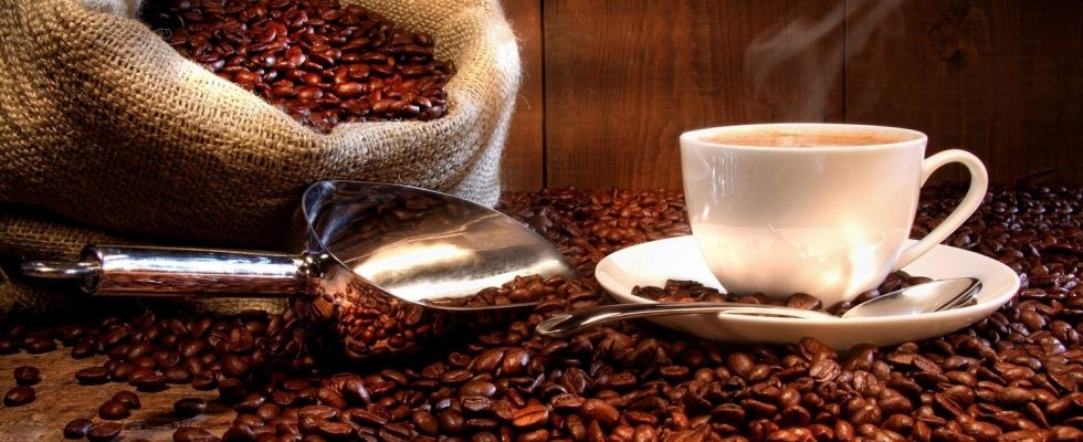 Vědci zjistili, jak kofein snižuje špatný cholesterol 1