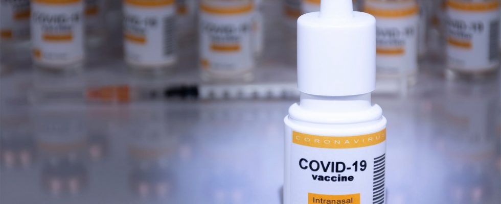 Inhalační vakcína proti covid-19 chrání před variantami obav 1