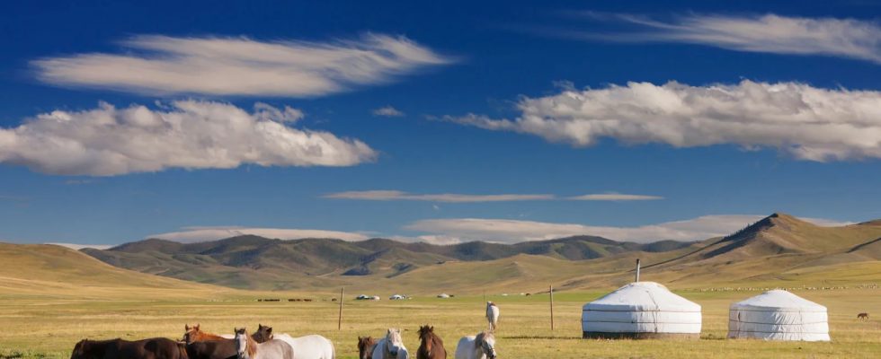 Cesta za kmenem pastevců sobů v severním Mongolsku 1