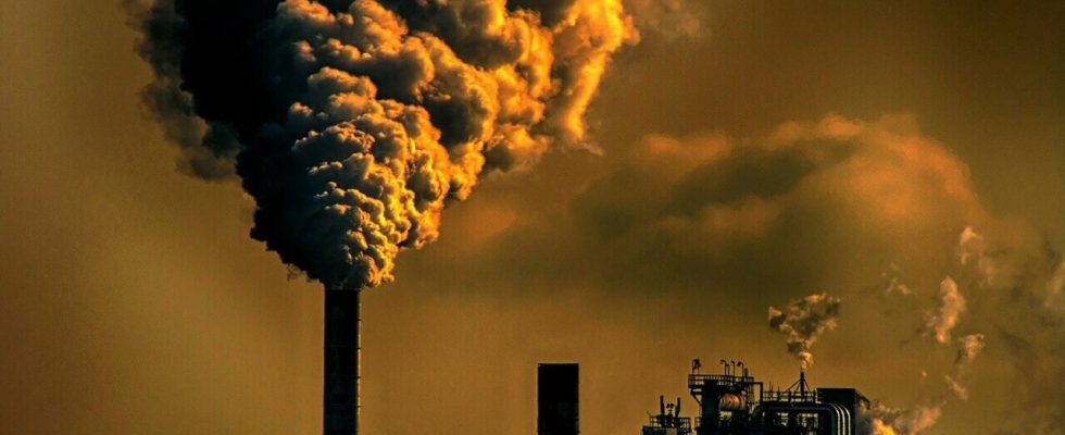 Chemické znečištění je nyní za bezpečnou hranicí pro planetu, zjistila studie 1