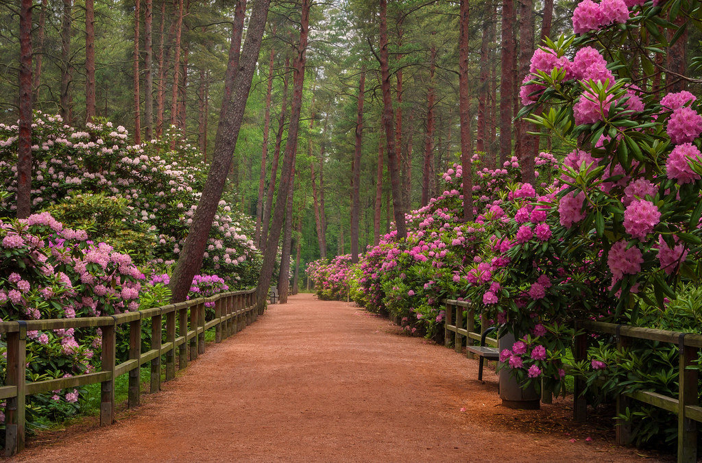 rododendronov-park-haaga-helsinki-finsko-topmagazine-cz