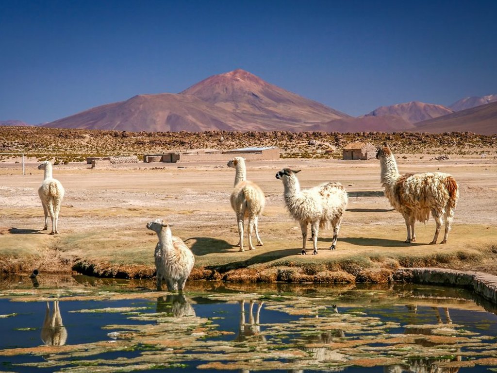 Národní parky v Bolívii 2