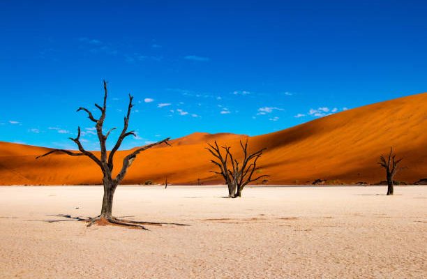 8 míst, kam se podívat v Namibii 1