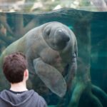 Hurá na návštěvu do Parc Zoologique de Paris 4