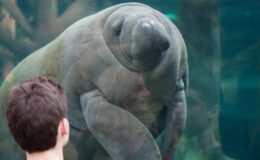 Hurá na návštěvu do Parc Zoologique de Paris 5