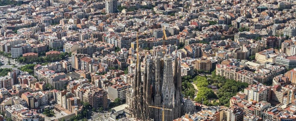 Vyzkoušejte Go With A Local: Skip-The-Line Sagrada Família Tour v angličtině 1