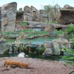 Bioparc Valencia: Vstupenka s rychlejším vstupem 6