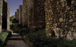 Římské divadlo Málaga a Alcazaba: prohlídka s průvodcem 15