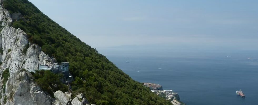 Vyzkoušejte jednodenní výlet z Málagy na Gibraltar 1