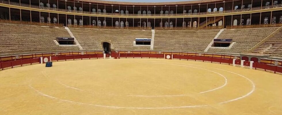 Městský klenot - Býčí aréna a muzeum v Alicante 1