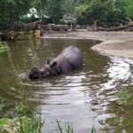 Zoologická zahrada Schönbrunn - vstupenky bez fronty 3